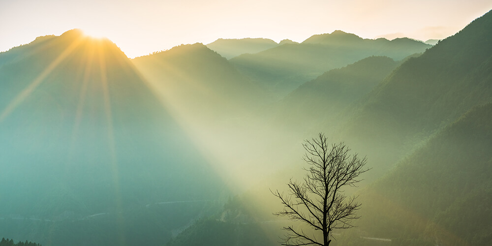 sociedad secreta de Ogan Ogbon y ogboni
